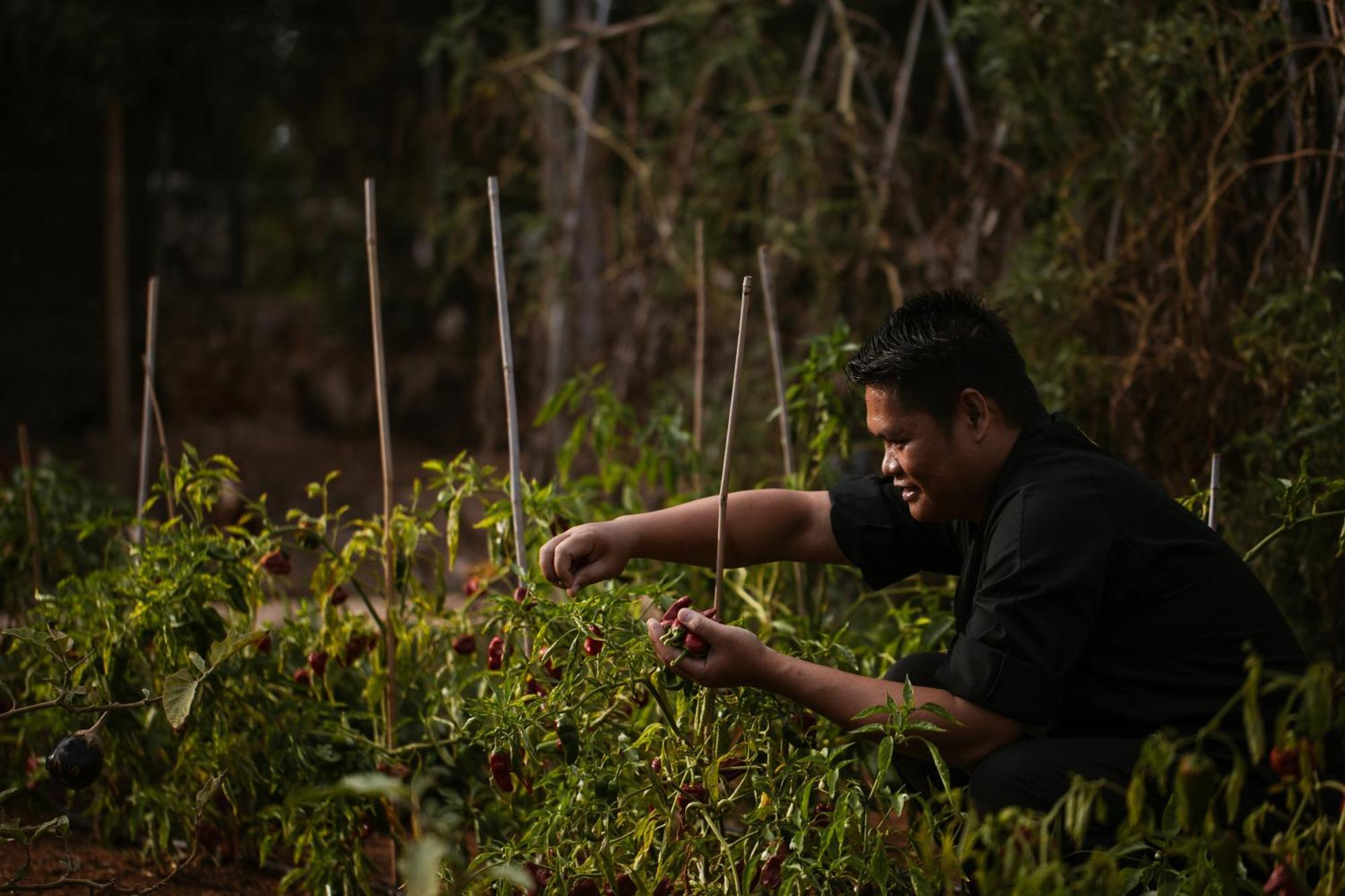 Lago Resort Menorca - Casas Del Lago Adults Only Cala en Bosch Esterno foto A farmer in the Philippines